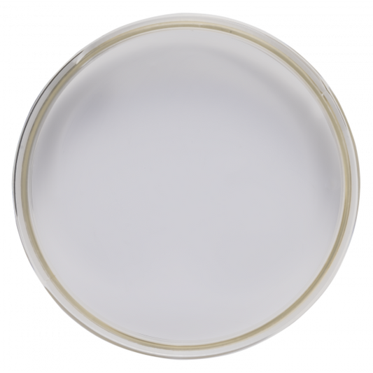 Peinture Meuble Calcaire