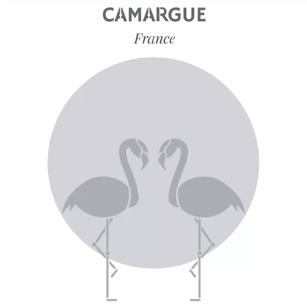 Pochoir déco Affiche Camargue