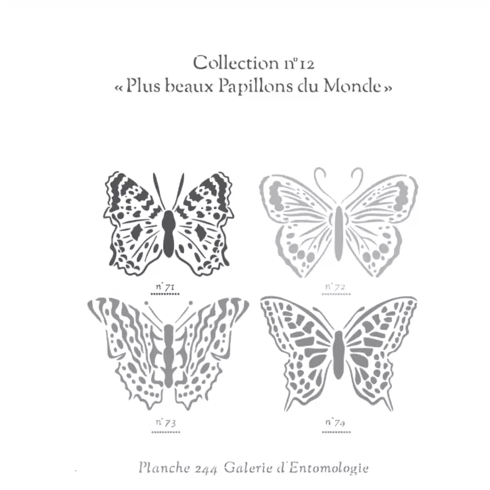 Pochoir déco Affiche Naturaliste