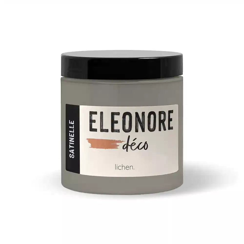 Peinture Meuble Lichen