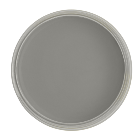 Peinture Meuble Lichen