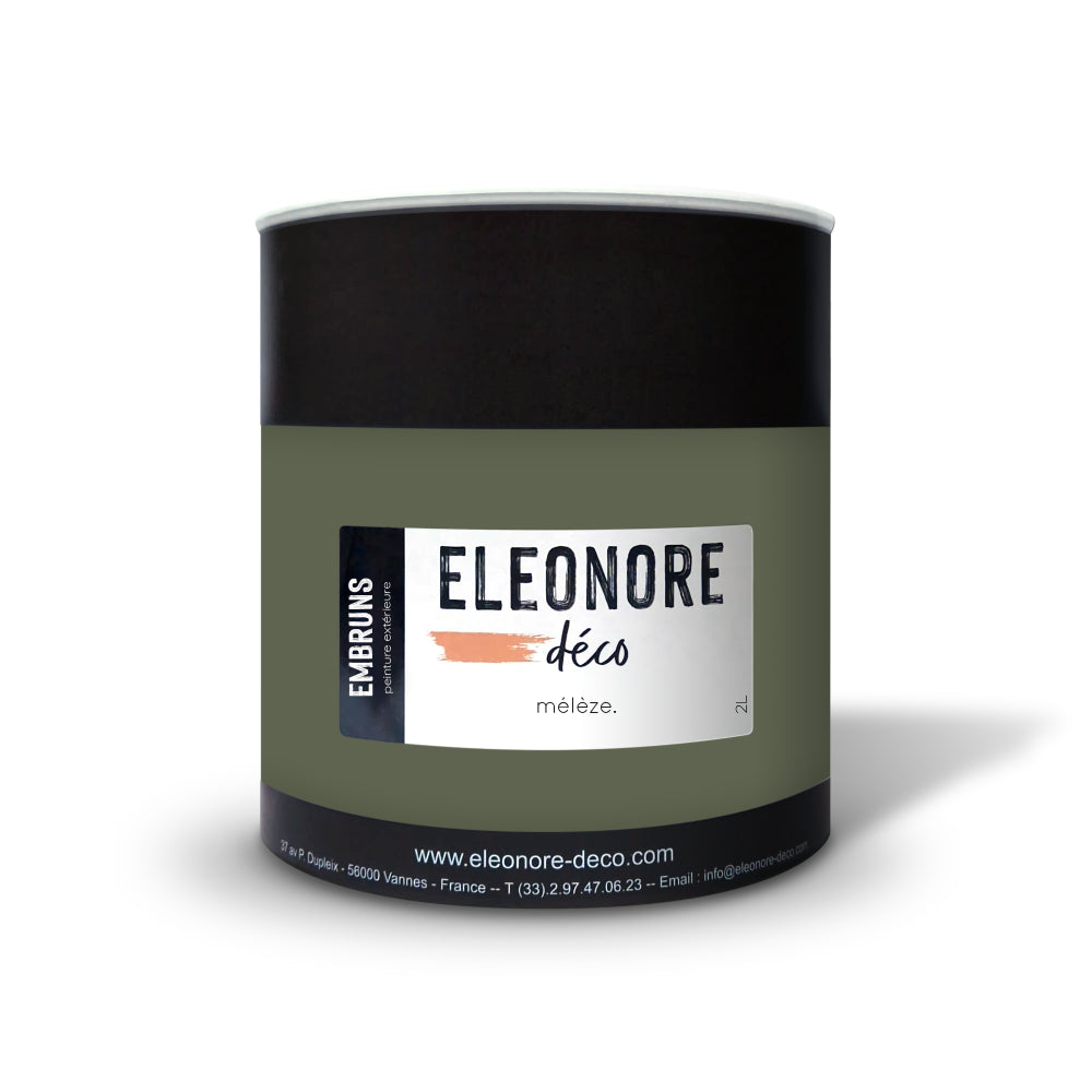 Peinture Extérieure Mélèze