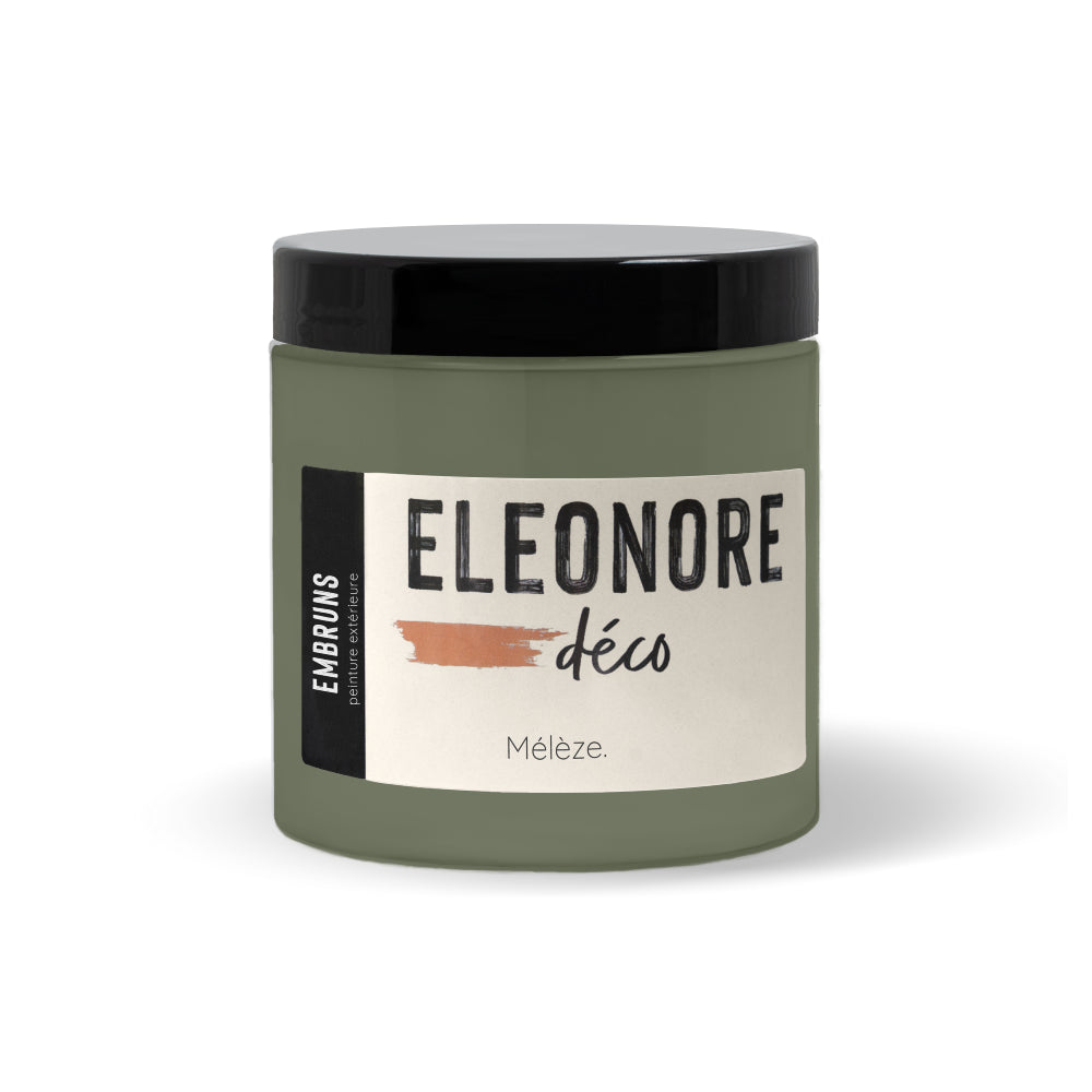 Peinture Extérieure Mélèze