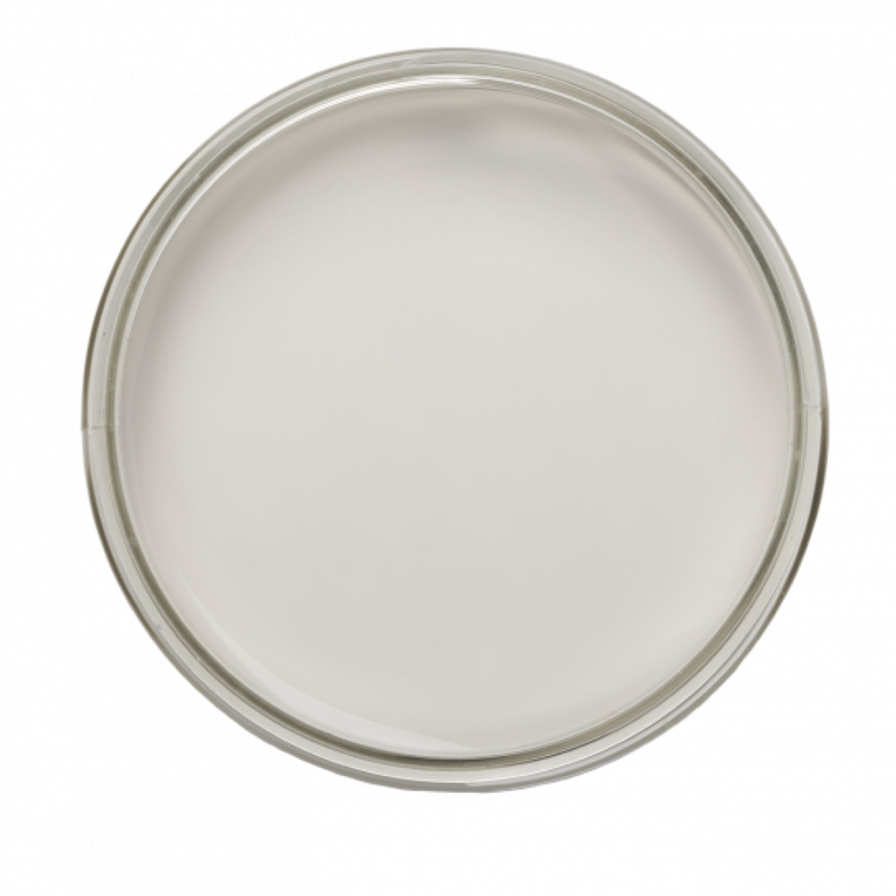 Peinture Meuble Soie sauvage