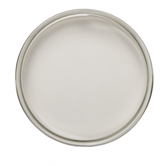 Peinture Meuble Soie sauvage