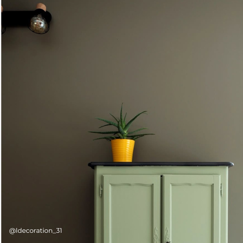 Mur peint avec la couleur Lichen