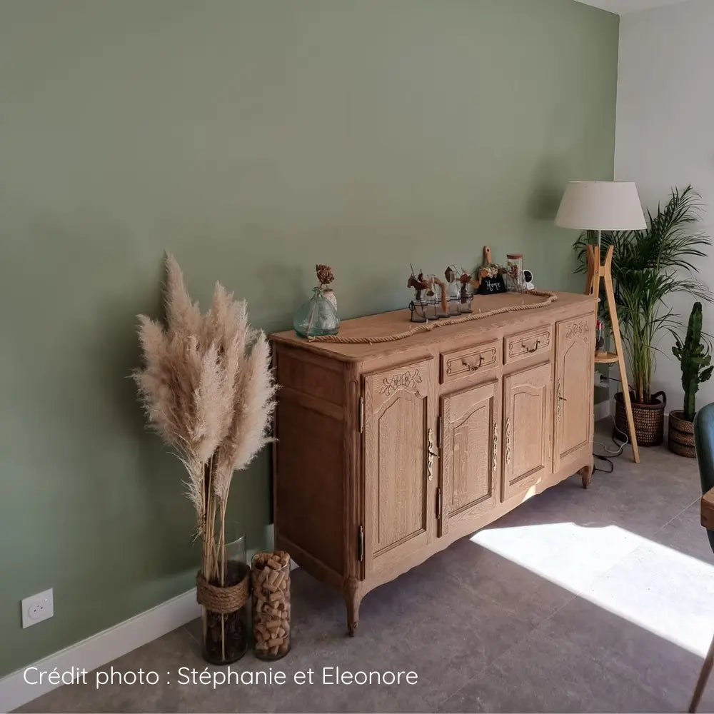 Mur d'un salon peint avec la peinture murale couleur vert Fenouil et meuble en bois naturel