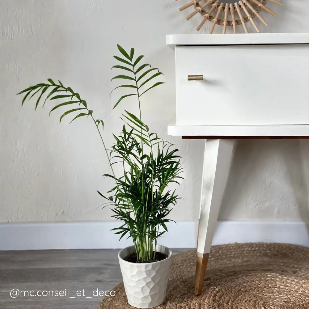Table de chevet en bois relookée et repeinte en Blanc