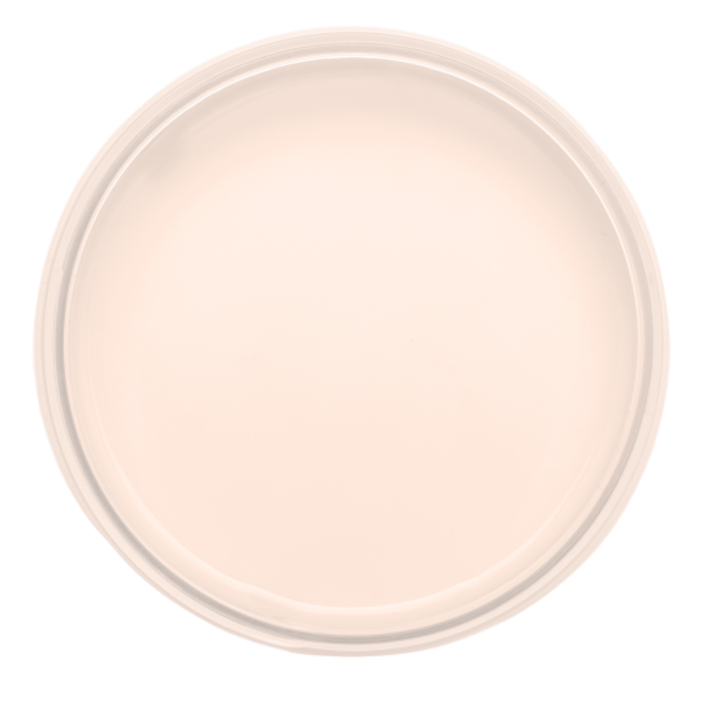 Peinture Beige rosé