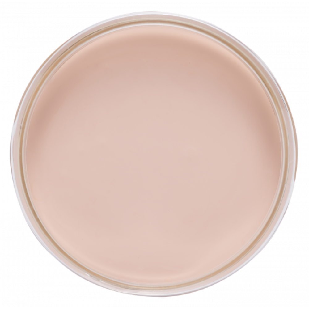 Peinture Biscuit rosé