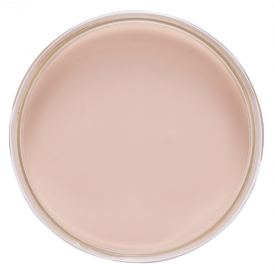 Peinture Biscuit rosé