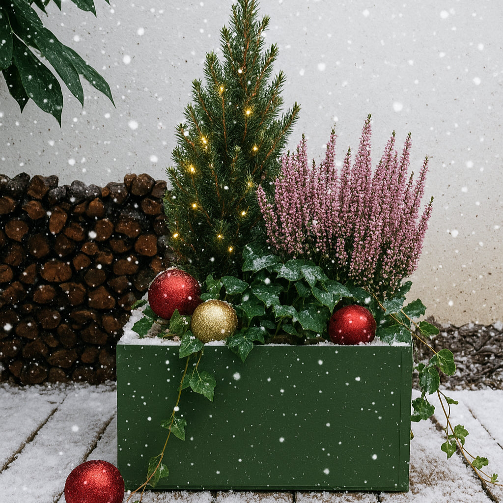 BOX Jardin enchanté