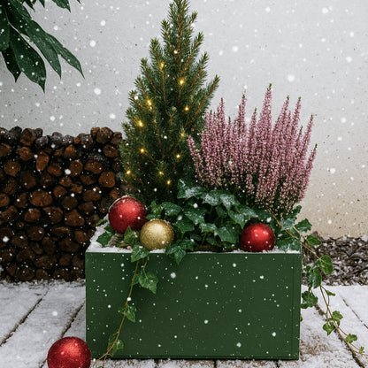 BOX Jardin enchanté