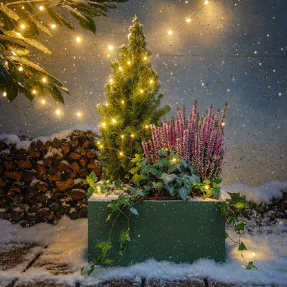 BOX Jardin enchanté