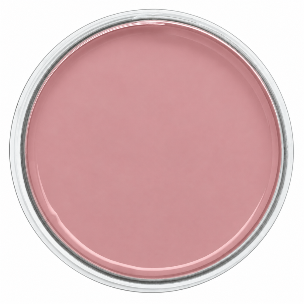 Peinture Mur | Lady rose