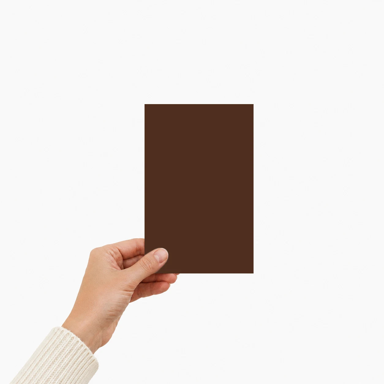 Échantillon peinture Éléonore Déco Chocolat viennois tenu à la main.