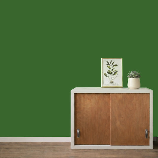 Mur repeint avec la couleur Choux Choux, peinture murale Éléonore Déco.