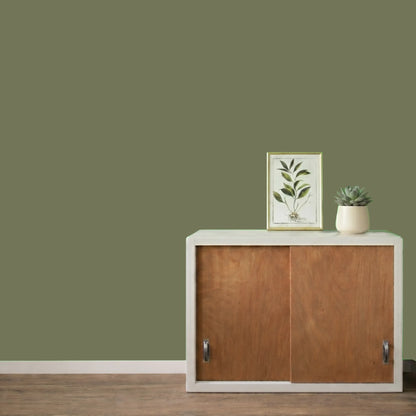 Mur repeint avec la couleur Kaki, peinture murale Éléonore Déco.