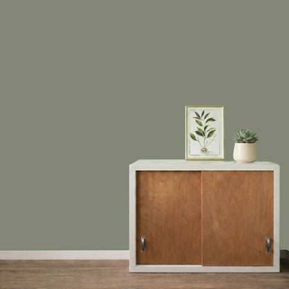 Mur repeint avec la couleur Lichen, peinture murale Éléonore Déco.
