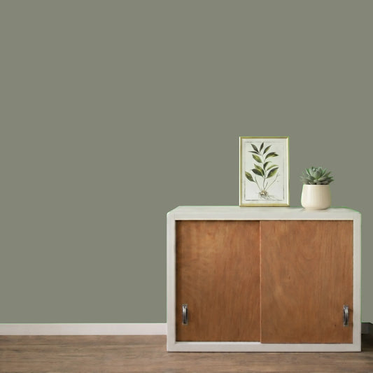 Mur repeint avec la couleur Lichen, peinture murale Éléonore Déco.