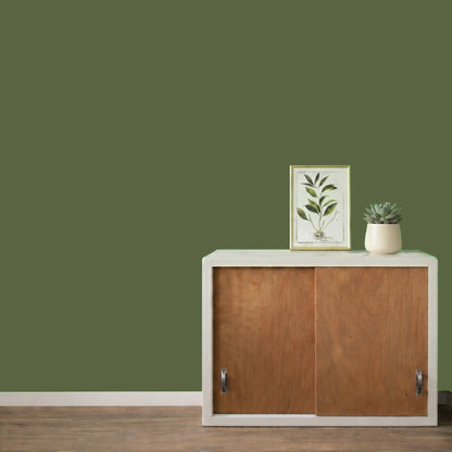 Mur repeint avec la couleur Mélèze, peinture murale Éléonore Déco.