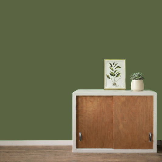 Mur repeint avec la couleur Mélèze, peinture murale Éléonore Déco.