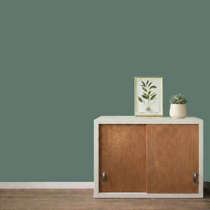 Mur repeint avec la couleur Sauge, peinture murale Éléonore Déco.