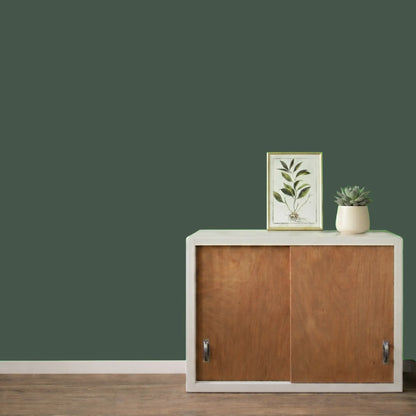 Mur repeint avec la couleur Séquoia, peinture murale Éléonore Déco.