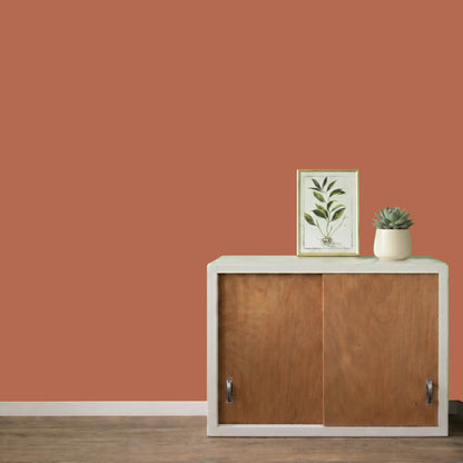 Mur repeint avec la couleur Terracotta, peinture murale Éléonore Déco.