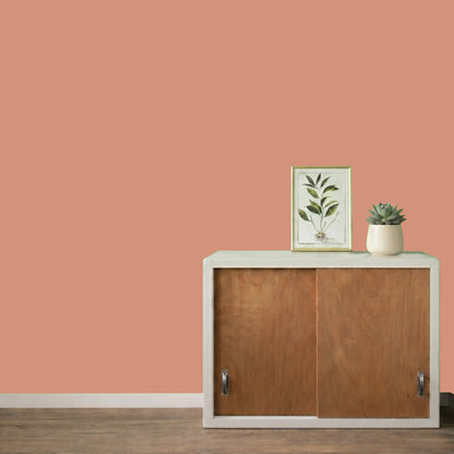 Mur repeint avec la couleur Terre de mars, peinture murale Éléonore Déco.