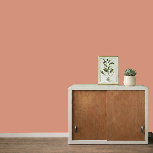 Mur repeint avec la couleur Terre de mars, peinture murale Éléonore Déco.