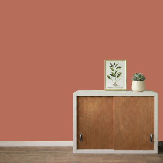 Mur repeint avec la couleur Tuile croquante, peinture murale Éléonore Déco.