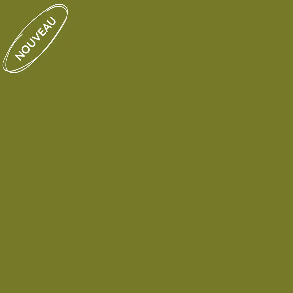 Echantillon papier test nouvelle couleur de peinture pour meuble Éléonore Déco vert Matcha latte