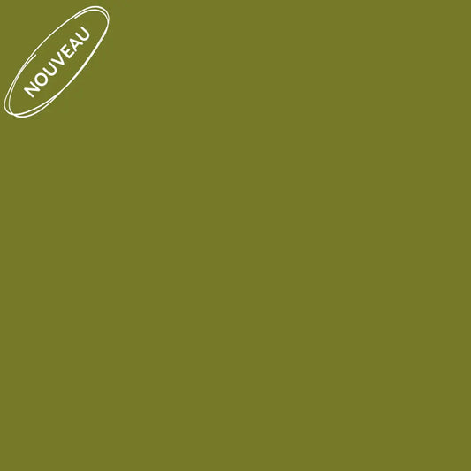 Echantillon papier test nouvelle couleur de peinture pour meuble Éléonore Déco vert Matcha latte