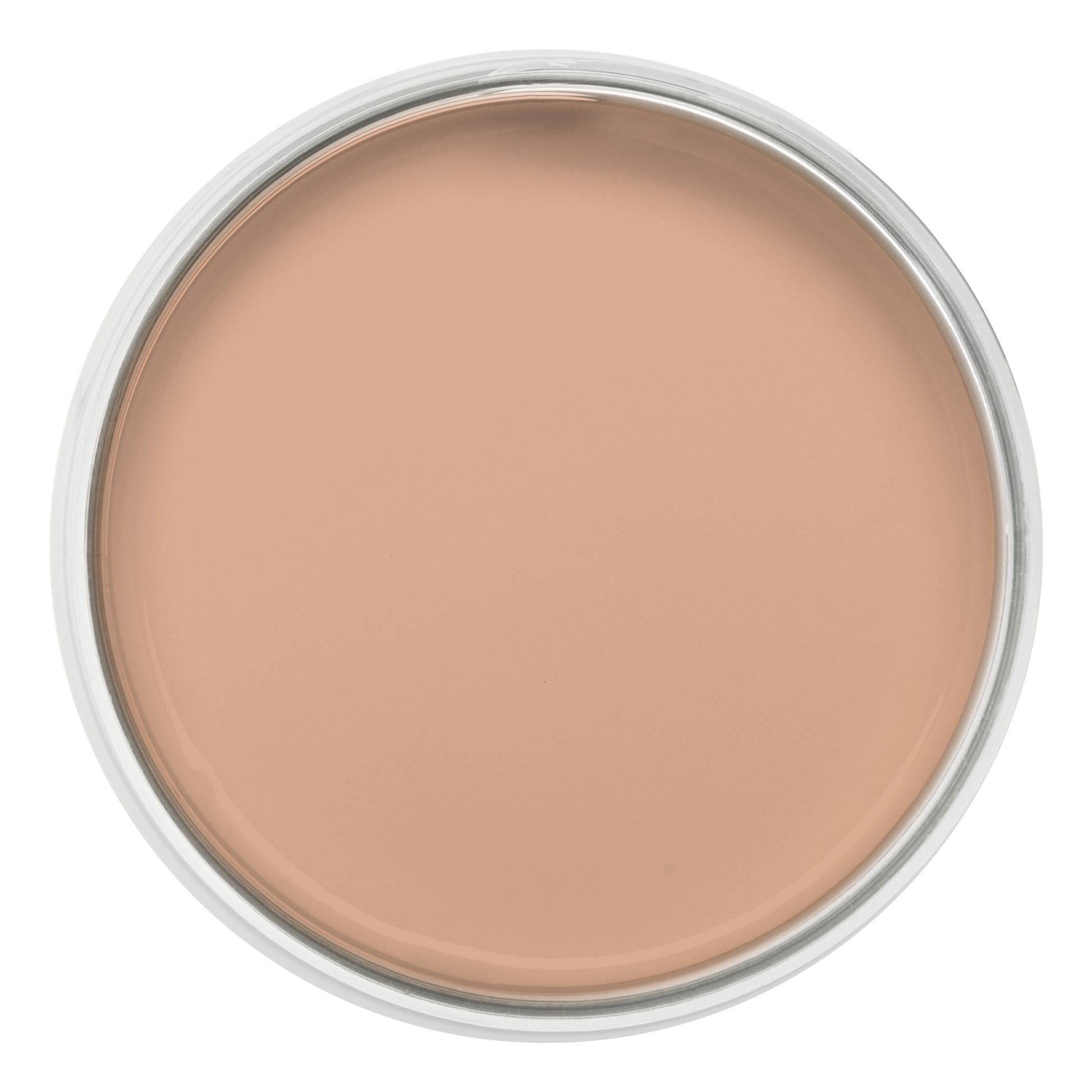 Pastille de la couleur Biscuit rose – peinture Eléonore Déco.