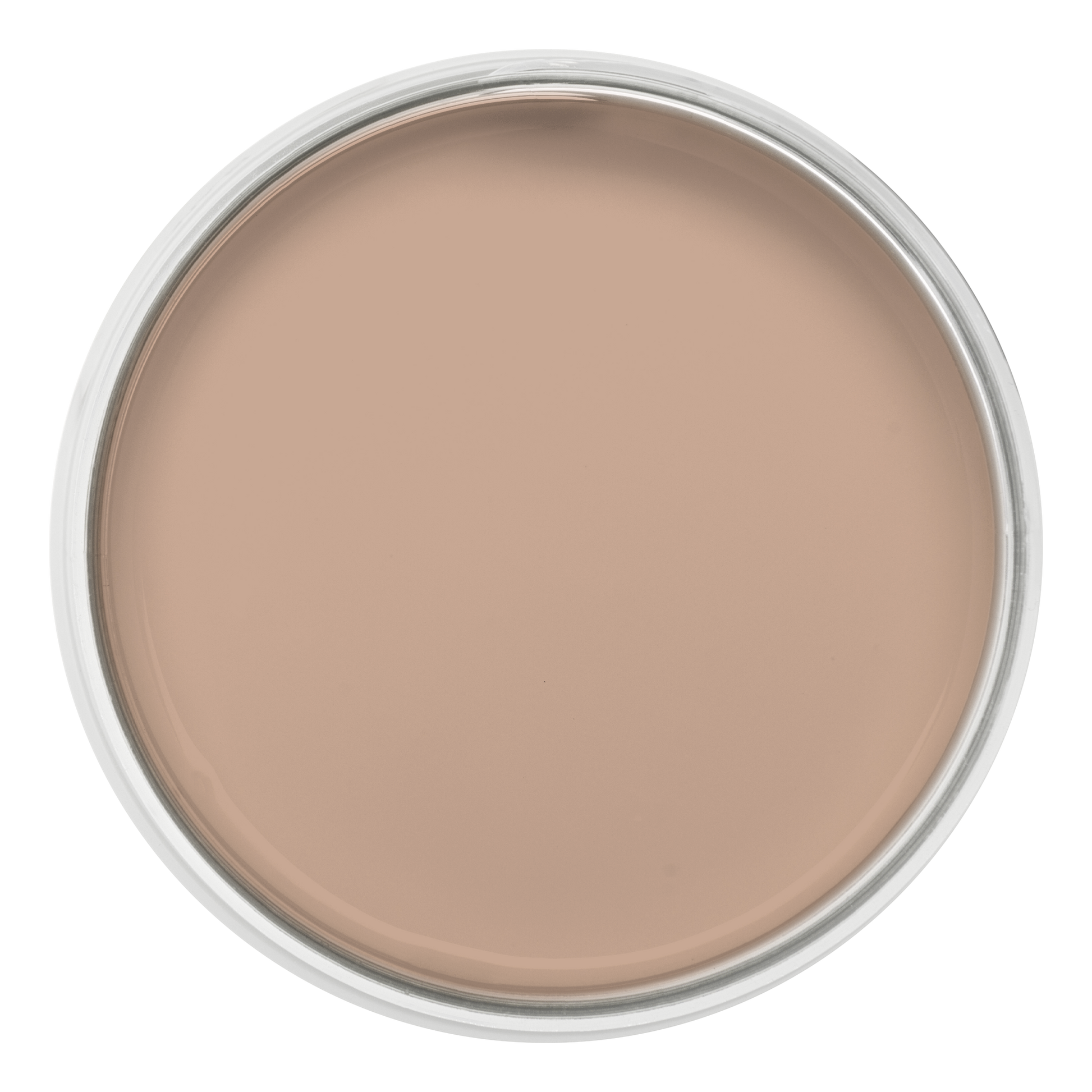Pastille de la couleur Nude – peinture Eléonore Déco.