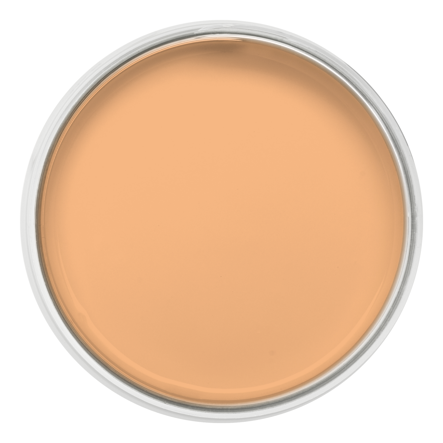 Pastille de la couleur Sorbet abricot – peinture Eléonore Déco.