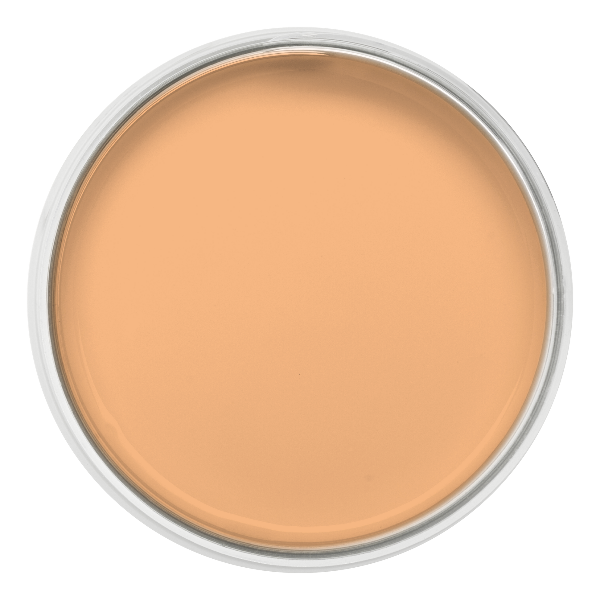 Pastille de la couleur Sorbet abricot – peinture Eléonore Déco.