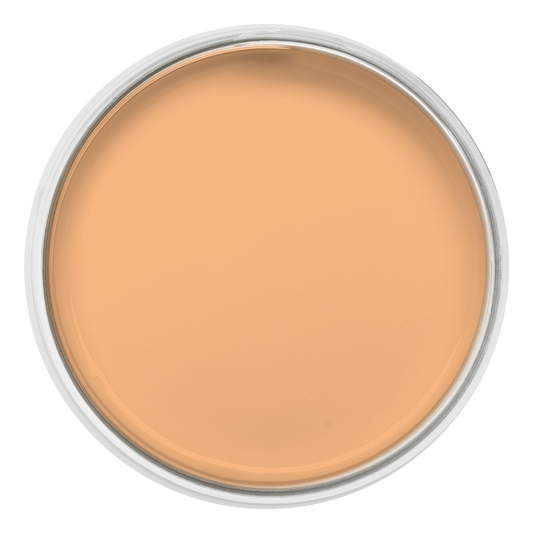 Pastille de la couleur Sorbet abricot – peinture Eléonore Déco.