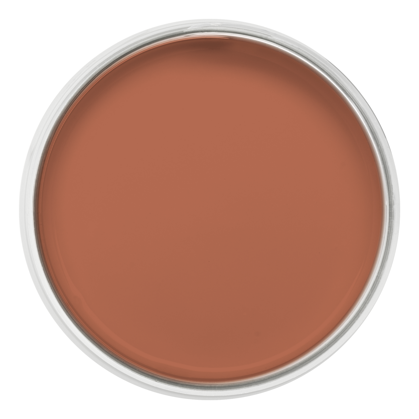 Pastille de la couleur Terracotta – peinture Eléonore Déco.