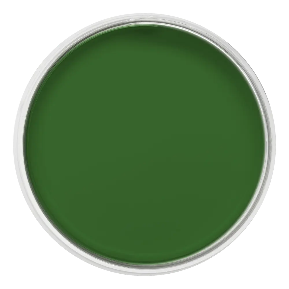 Pastille de la couleur vert Choux choux – peinture Eléonore Déco