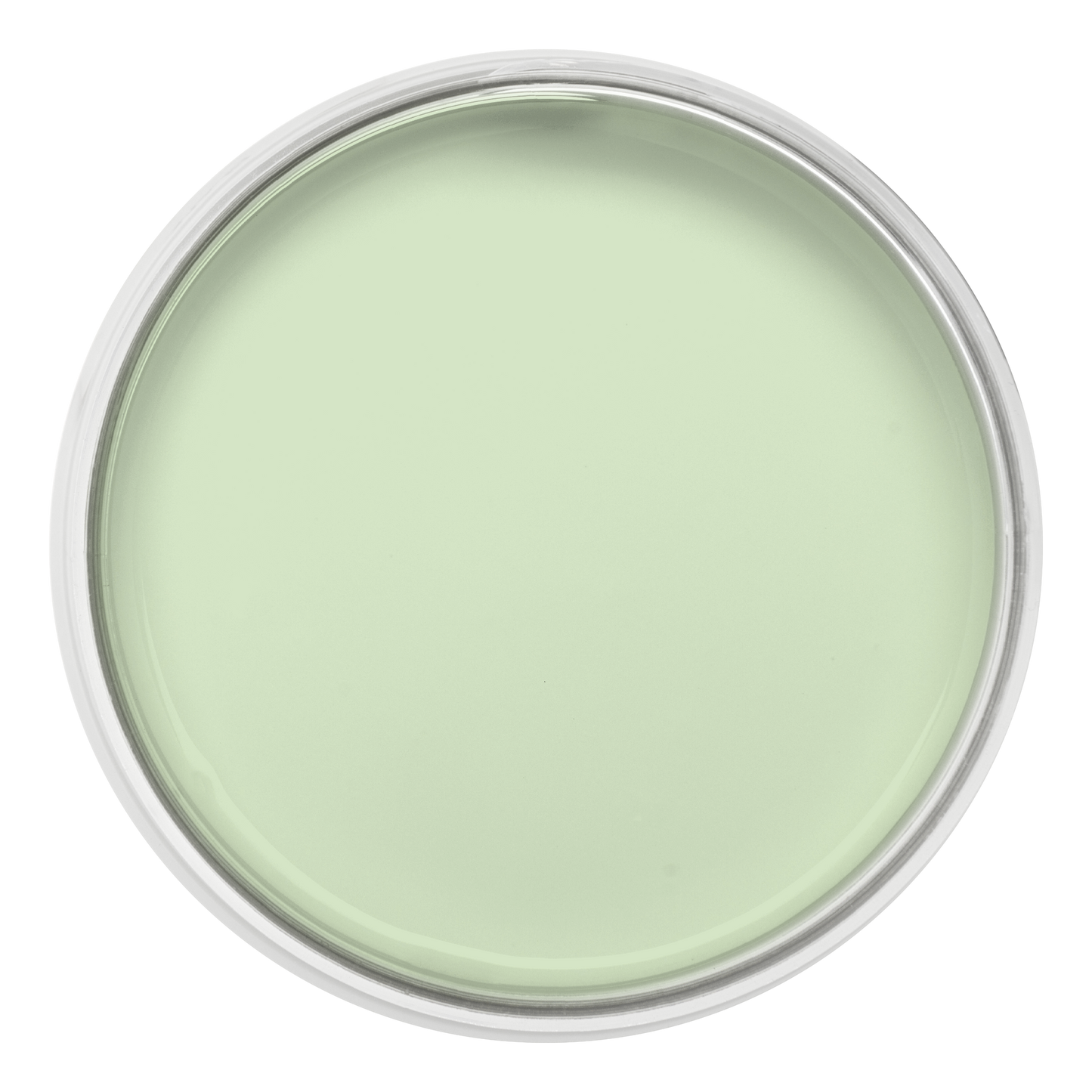 Pastille de la couleur Vert d eau – peinture Eléonore Déco.
