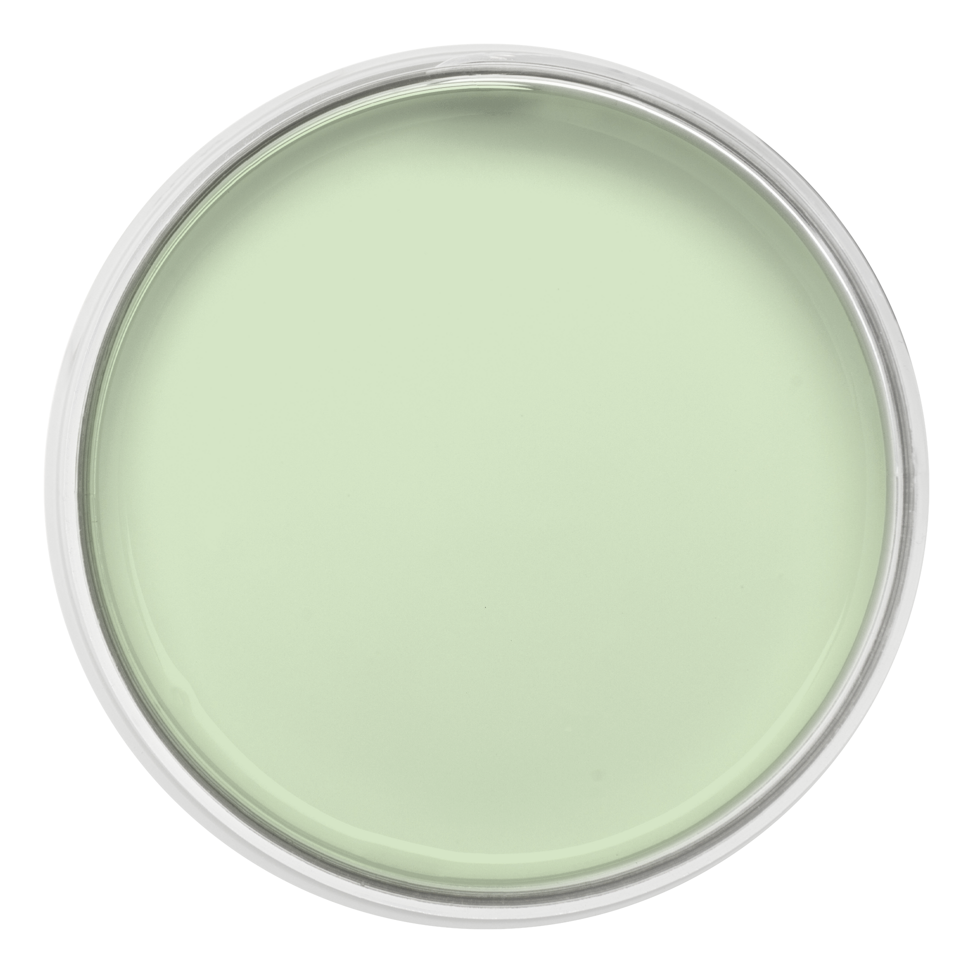 Pastille de la couleur Vert d eau – peinture Eléonore Déco.