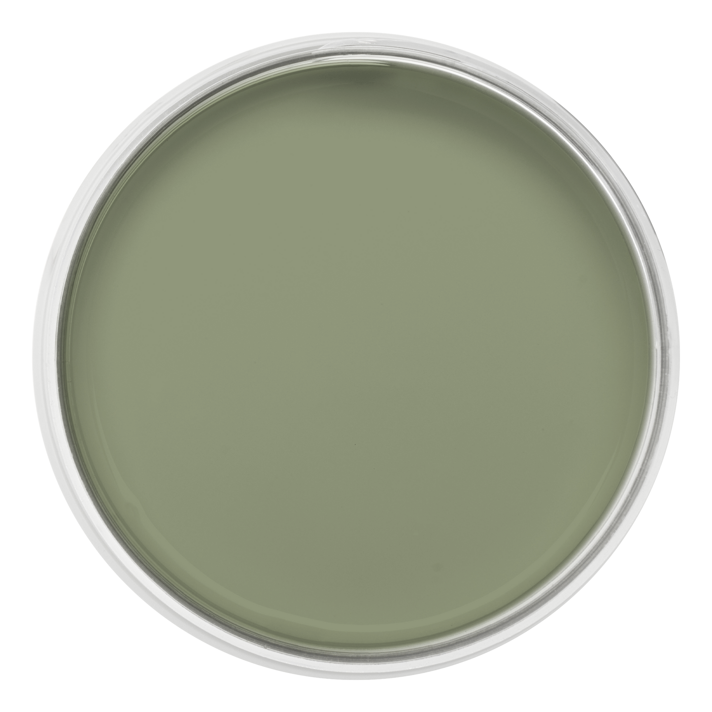 Pastille de la couleur Vert de gris – peinture Eléonore Déco.
