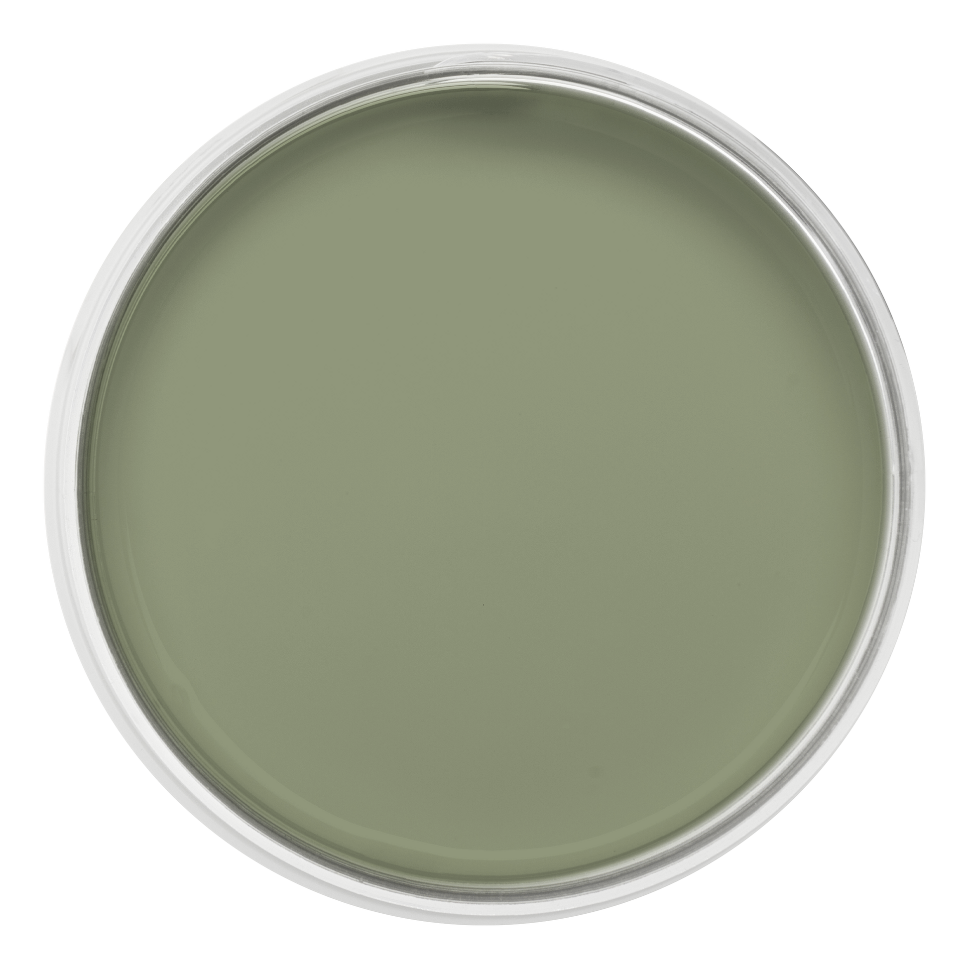 Pastille de la couleur Vert de gris – peinture Eléonore Déco.