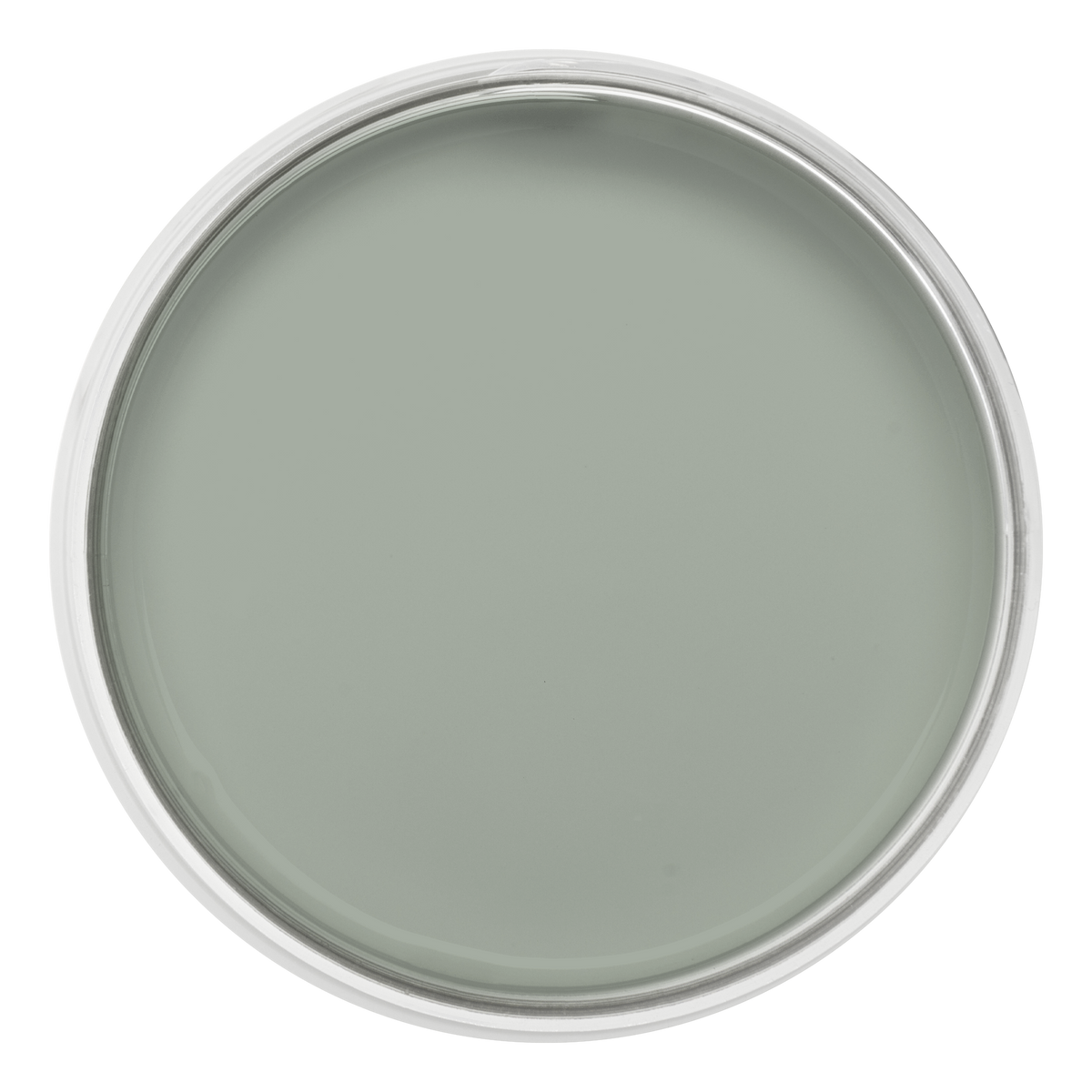 Pastille de la couleur Vert gommier – peinture Eléonore Déco.