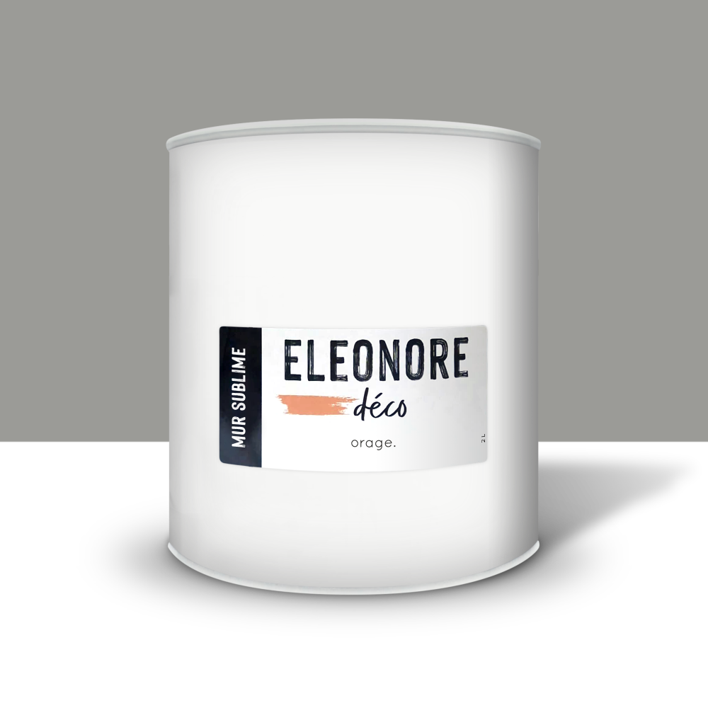 Peinture Mur Couleur gris Orage