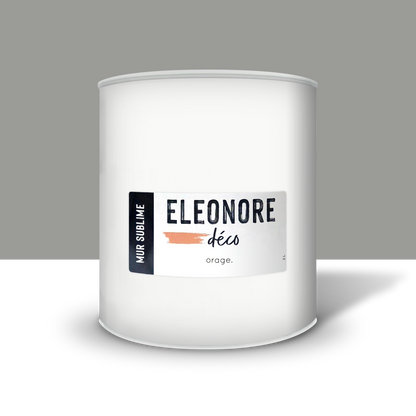 Peinture Mur Couleur gris Orage