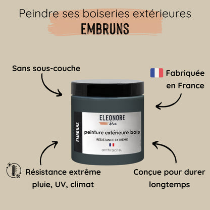 Peinture Extérieure Bleu Acier