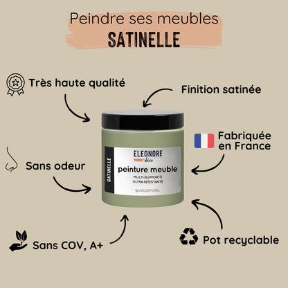 Peinture Meuble Fenouil